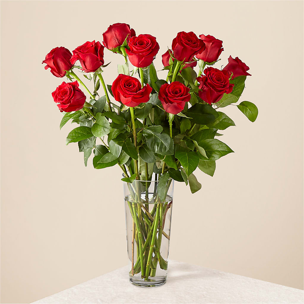Long Stem Red Rose Bouquet – Coatesville Flower Shop, Coatesville PA