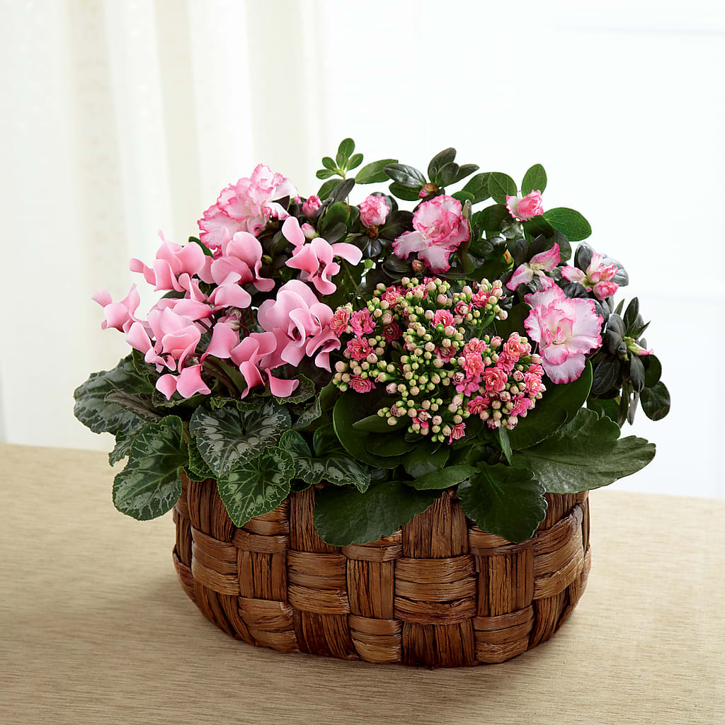 Pink Assortment – Coatesville Flower Shop, Coatesville PA