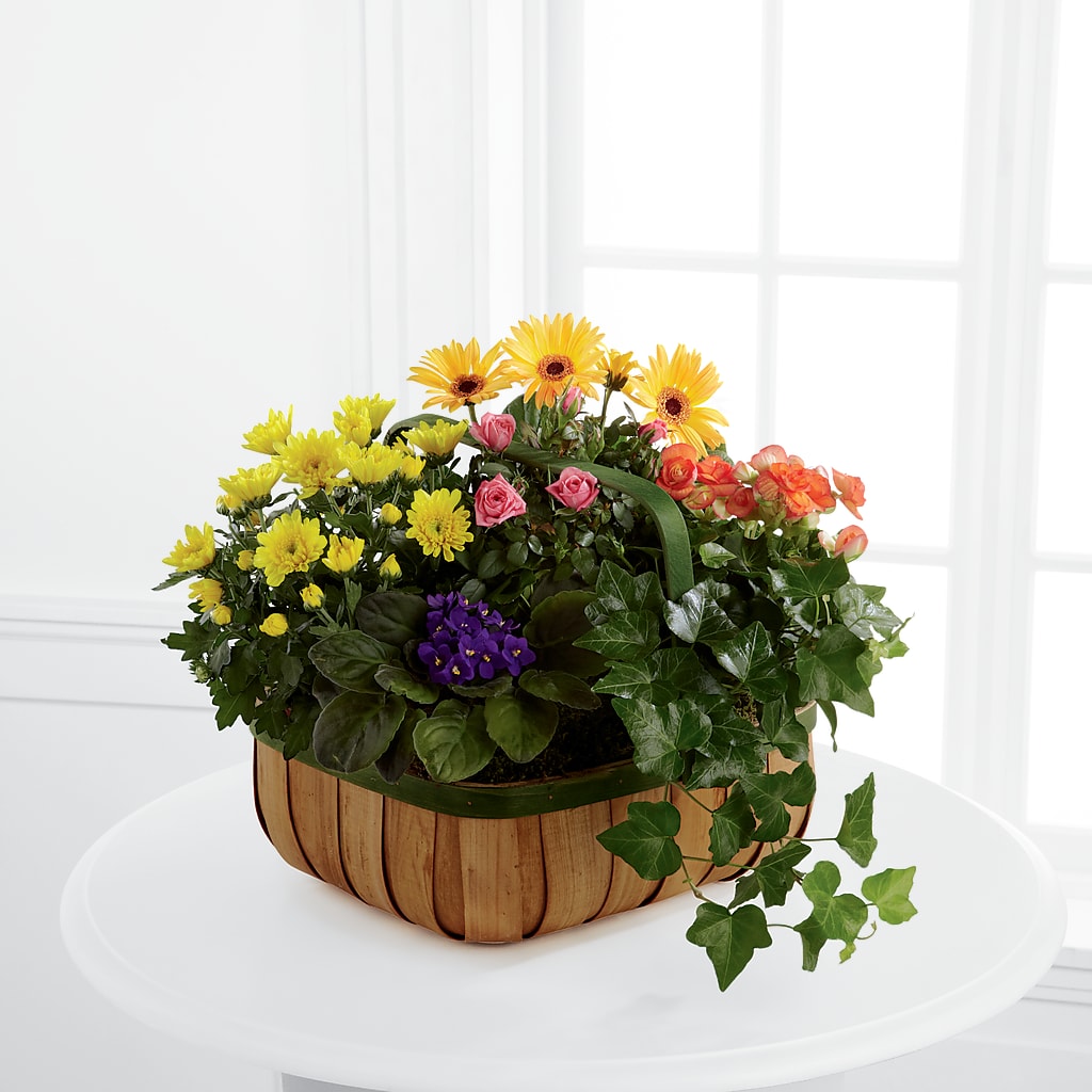 Gentle Blossoms Basket – Coatesville Flower Shop, Coatesville PA