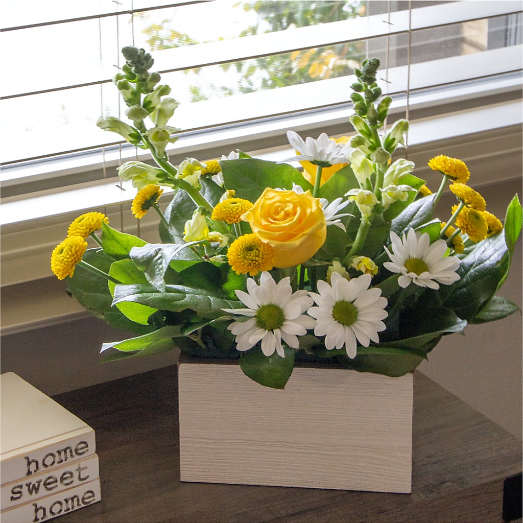 Sun Salutation Box Bouquet – Coatesville Flower Shop, Coatesville PA