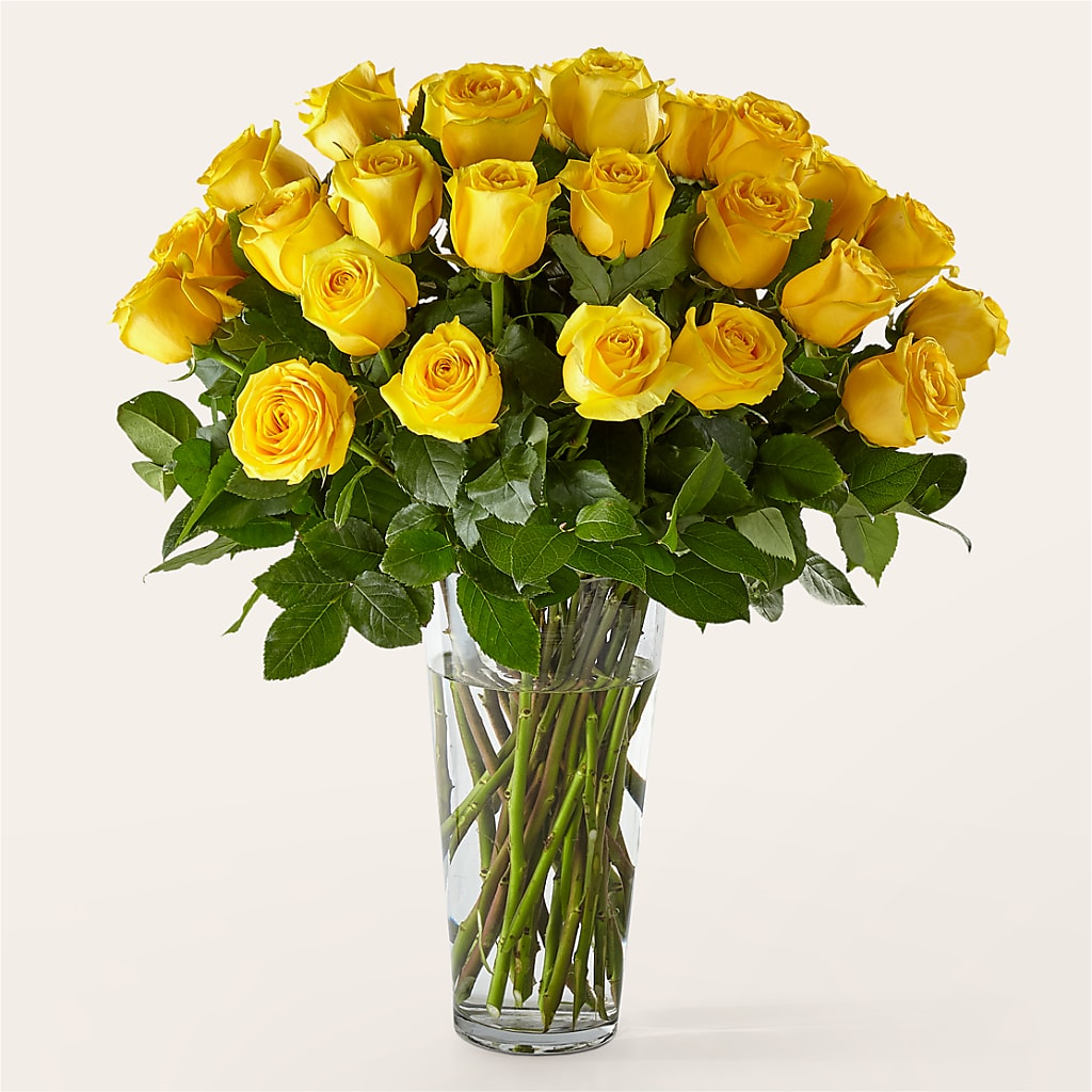 Long Stem Yellow Rose Bouquet – Coatesville Flower Shop, Coatesville PA