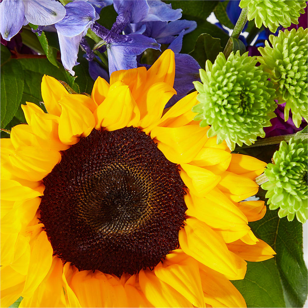 Catching Rays Bouquet – Coatesville Flower Shop, Coatesville PA
