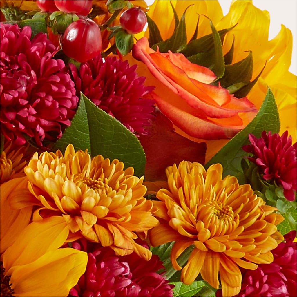 Sweater Season - A Florist Original – Coatesville Flower Shop, Coatesville PA
