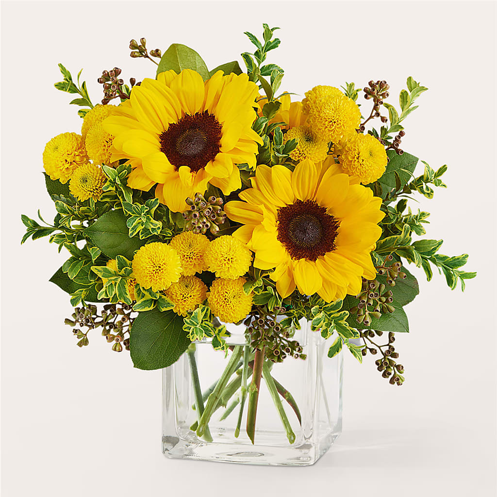 Luminous Morning Bouquet – Coatesville Flower Shop, Coatesville PA