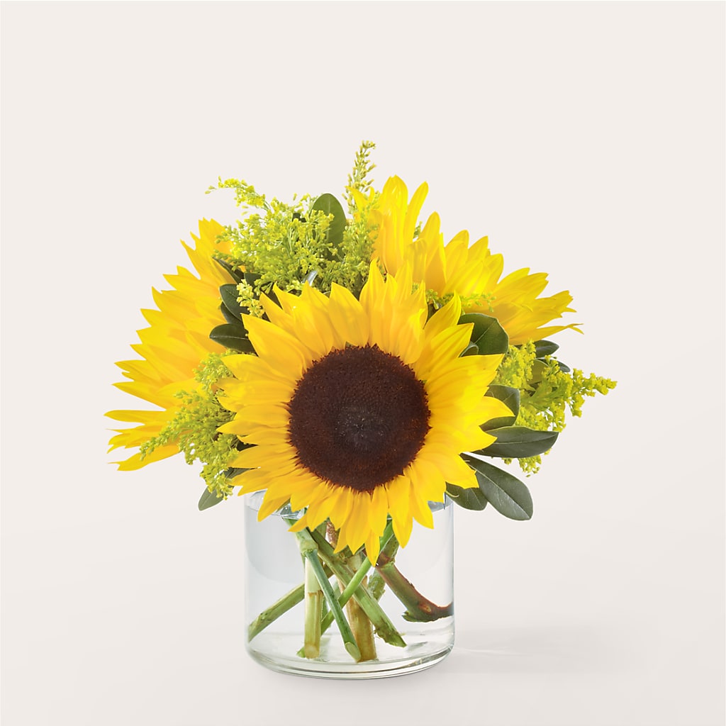 Beaming Sunflower Bouquet – Coatesville Flower Shop, Coatesville PA