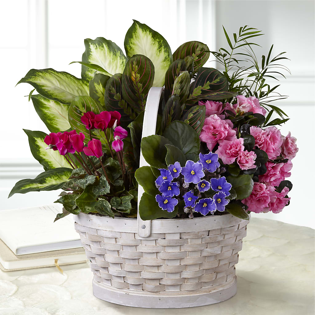 Peaceful Garden Planter – Coatesville Flower Shop, Coatesville PA