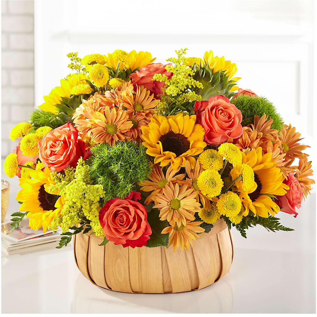 Harvest Sunflower Basket – Coatesville Flower Shop, Coatesville PA