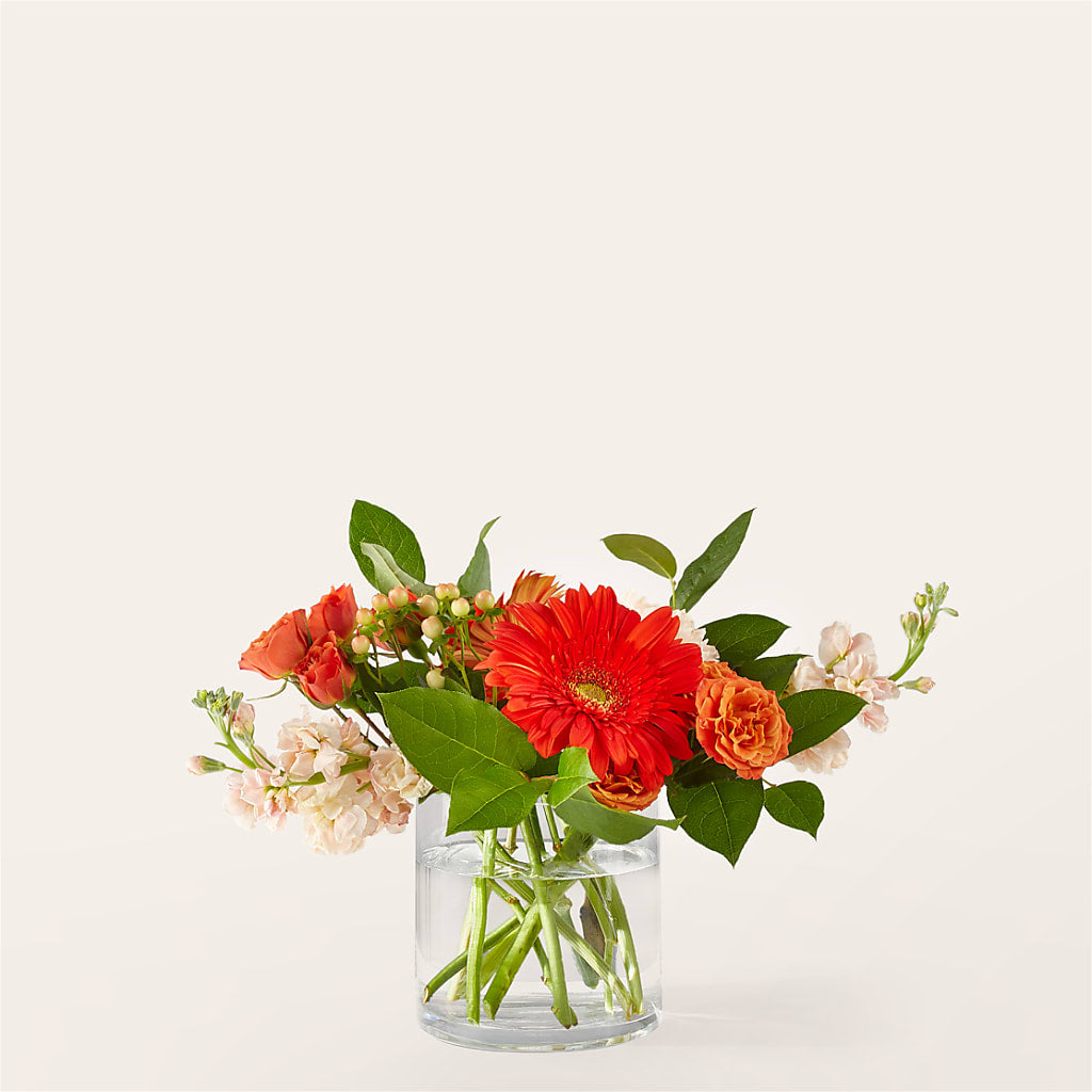 Paloma Please Bouquet – Coatesville Flower Shop, Coatesville PA