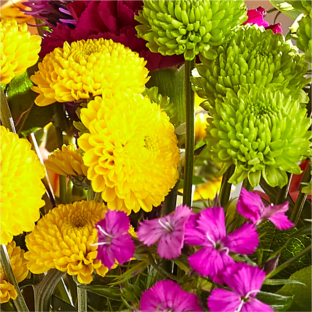 Bold & Bright – A Florist Original –  Coatesville Flower Shop, Coatesville PA