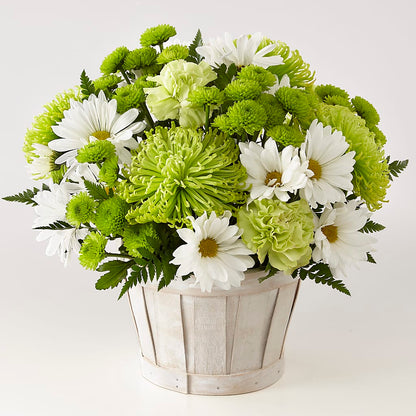 Lucky Charm Basket (Standard) –  Coatesville Flower Shop, Coatesville PA