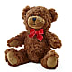 Adorable Plush Bear –  Coatesville Flower Shop, Coatesville PA