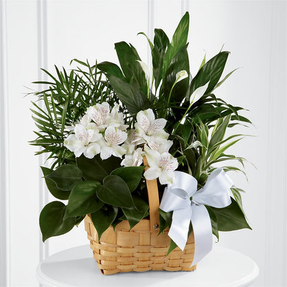 Peace & Serenity Dishgarden –  Coatesville Flower Shop, Coatesville PA