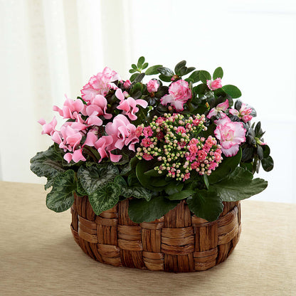 Pink Assortment –  Coatesville Flower Shop, Coatesville PA