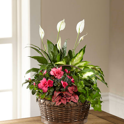 Dream in Pink Dishgarden –  Coatesville Flower Shop, Coatesville PA