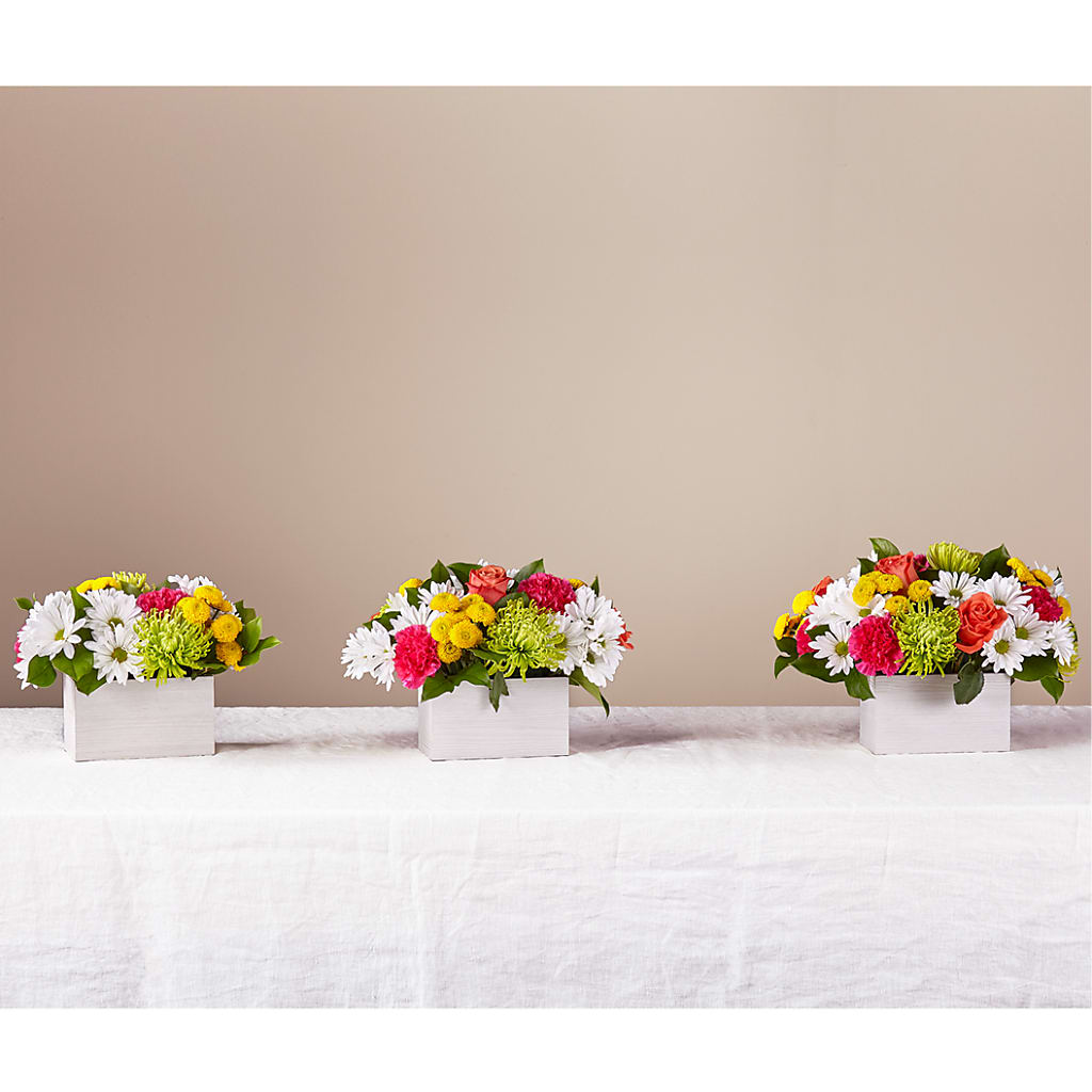 Sorbet Bouquet –  Coatesville Flower Shop, Coatesville PA