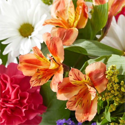 Oopsie Daisy Box Bouquet –  Coatesville Flower Shop, Coatesville PA
