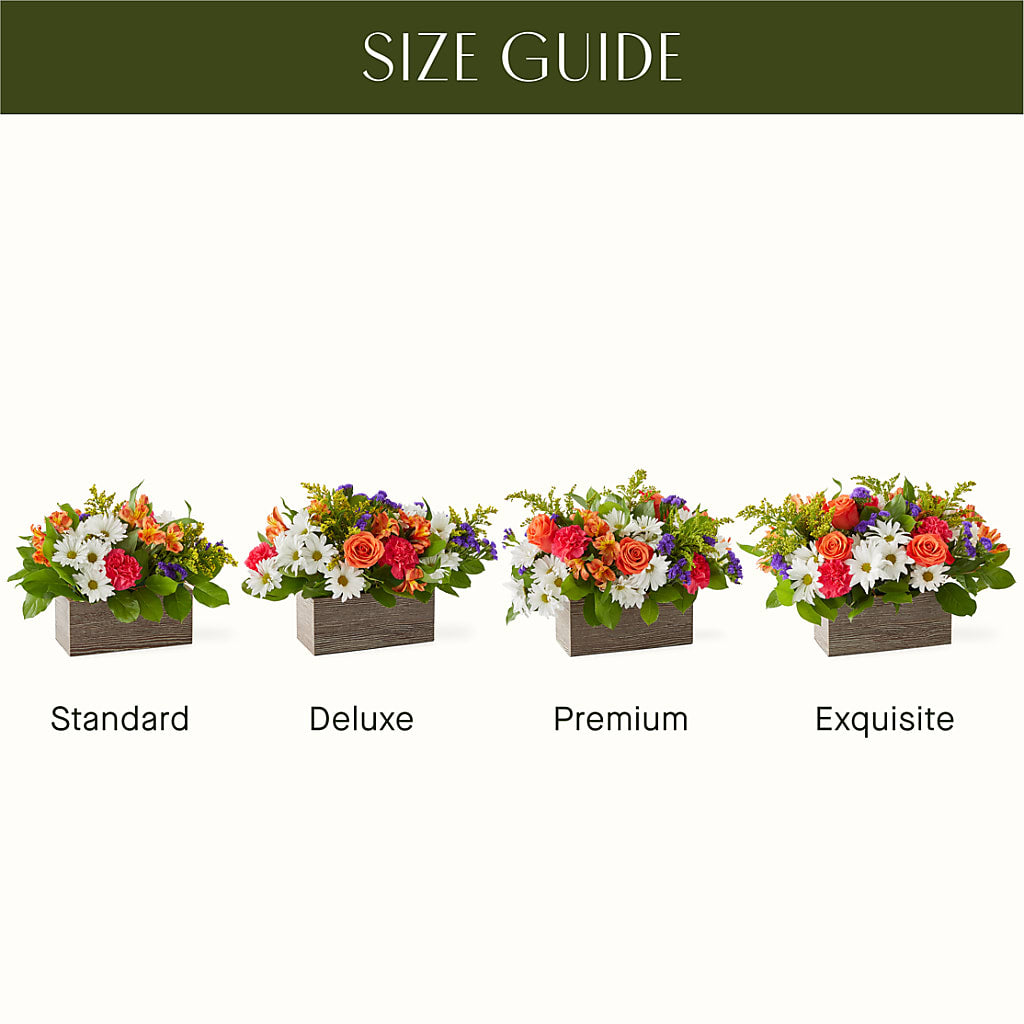 Oopsie Daisy Box Bouquet –  Coatesville Flower Shop, Coatesville PA