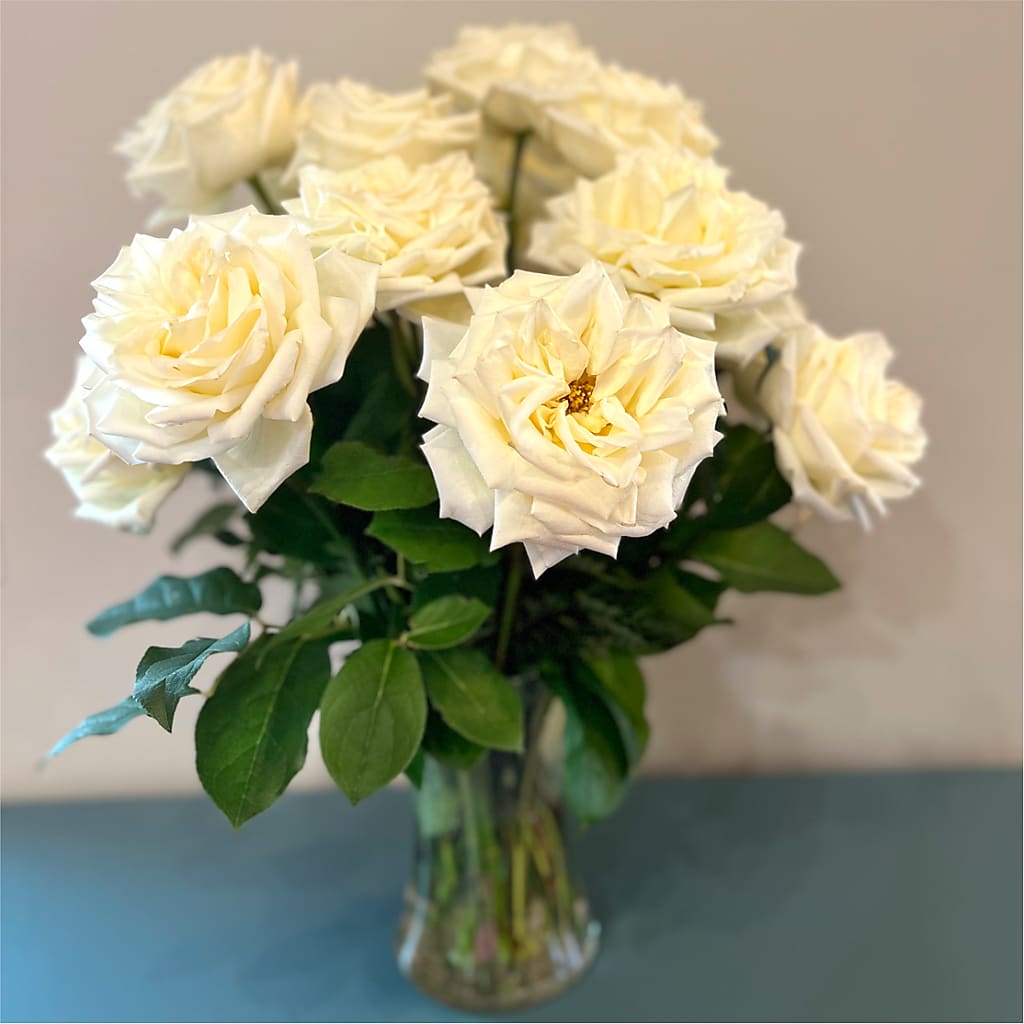 Long Stem Yellow Rose Bouquet –  Coatesville Flower Shop, Coatesville PA