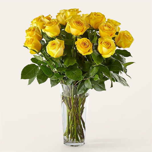 Long Stem Yellow Rose Bouquet –  Coatesville Flower Shop, Coatesville PA
