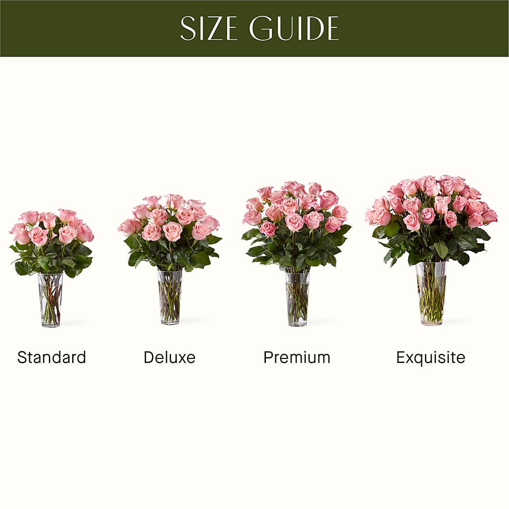 Long Stem Pink Rose Bouquet –  Coatesville Flower Shop, Coatesville PA