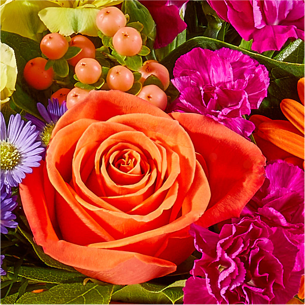 Tricks & Treats Pumpkin –  Coatesville Flower Shop, Coatesville PA