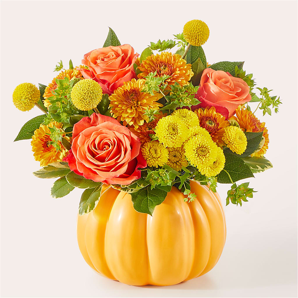 Gourdgeous Pumpkin –  Coatesville Flower Shop, Coatesville PA
