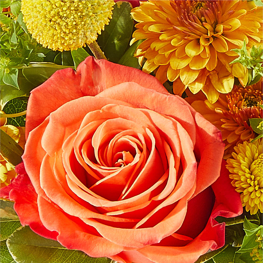 Gourdgeous Pumpkin –  Coatesville Flower Shop, Coatesville PA