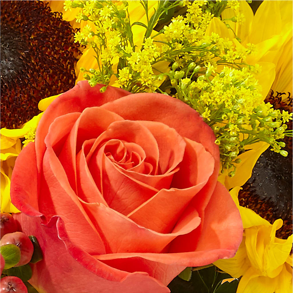 Pick of the Patch Pumpkin Bouquet –  Coatesville Flower Shop, Coatesville PA