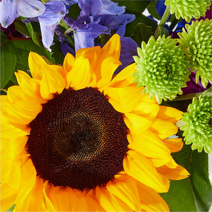 Catching Rays Bouquet –  Coatesville Flower Shop, Coatesville PA