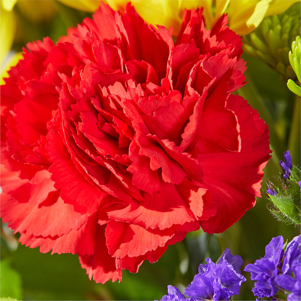 Brighter Days Bouquet –  Coatesville Flower Shop, Coatesville PA