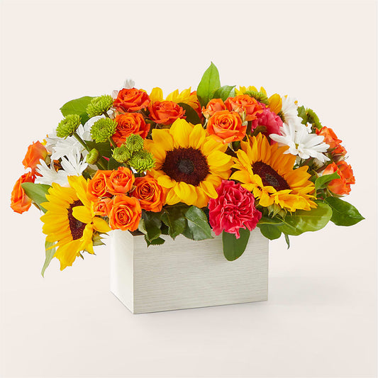 Sun-drenched Blooms Box Bouquet –  Coatesville Flower Shop, Coatesville PA