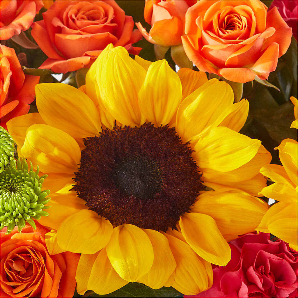 Sun-drenched Blooms Box Bouquet –  Coatesville Flower Shop, Coatesville PA