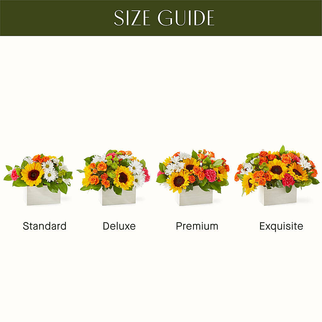 Sun-drenched Blooms Box Bouquet –  Coatesville Flower Shop, Coatesville PA