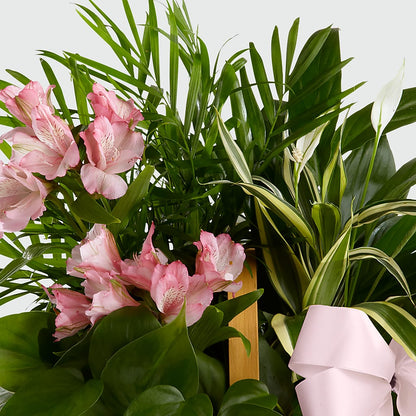 Living Spirit Dishgarden –  Coatesville Flower Shop, Coatesville PA