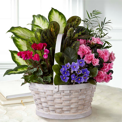 Peaceful Garden Planter –  Coatesville Flower Shop, Coatesville PA