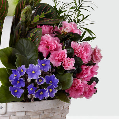 Peaceful Garden Planter –  Coatesville Flower Shop, Coatesville PA