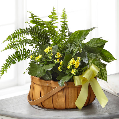 Always Dear Dishgarden –  Coatesville Flower Shop, Coatesville PA