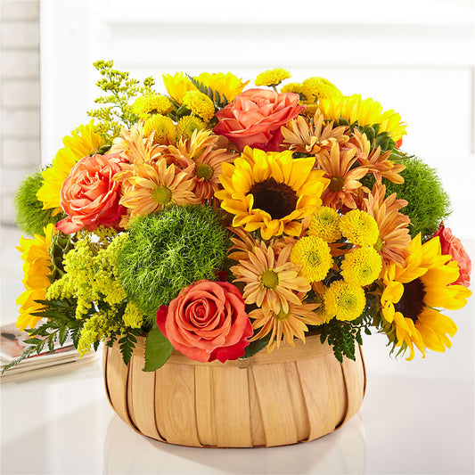 Harvest Sunflower Basket –  Coatesville Flower Shop, Coatesville PA