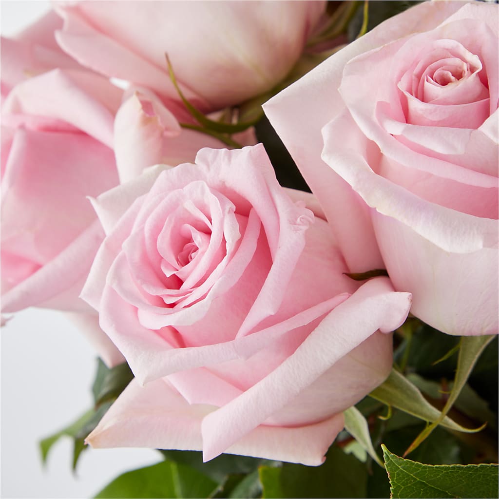 Picture Perfect Pink Rose Bouquet –  Coatesville Flower Shop, Coatesville PA