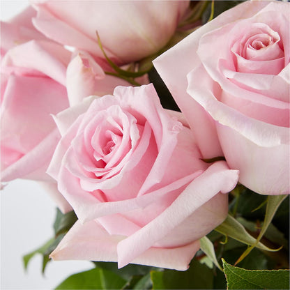 Picture Perfect Pink Rose Bouquet –  Coatesville Flower Shop, Coatesville PA