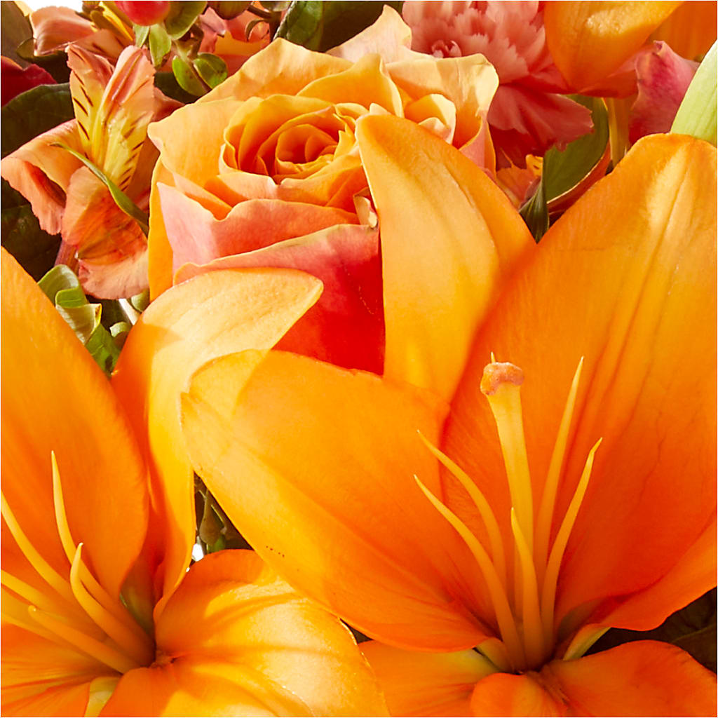 Afternoon Light Bouquet –  Coatesville Flower Shop, Coatesville PA