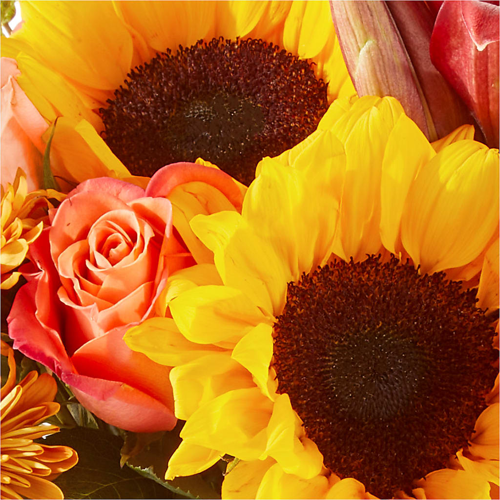 Acorn Lane Bouquet –  Coatesville Flower Shop, Coatesville PA