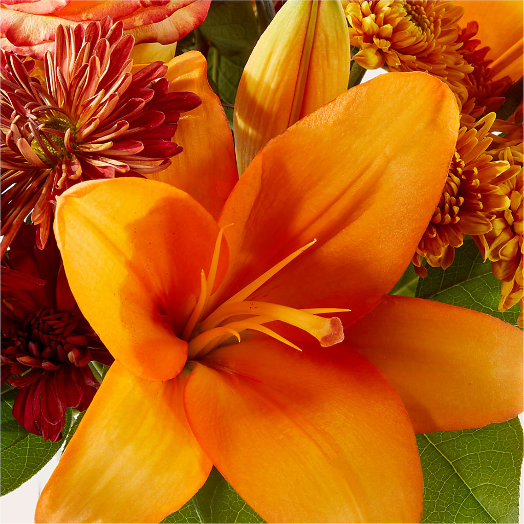 Autumnal Aroma Bouquet –  Coatesville Flower Shop, Coatesville PA