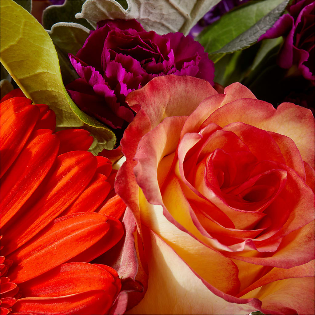 Sangria Bouquet –  Coatesville Flower Shop, Coatesville PA
