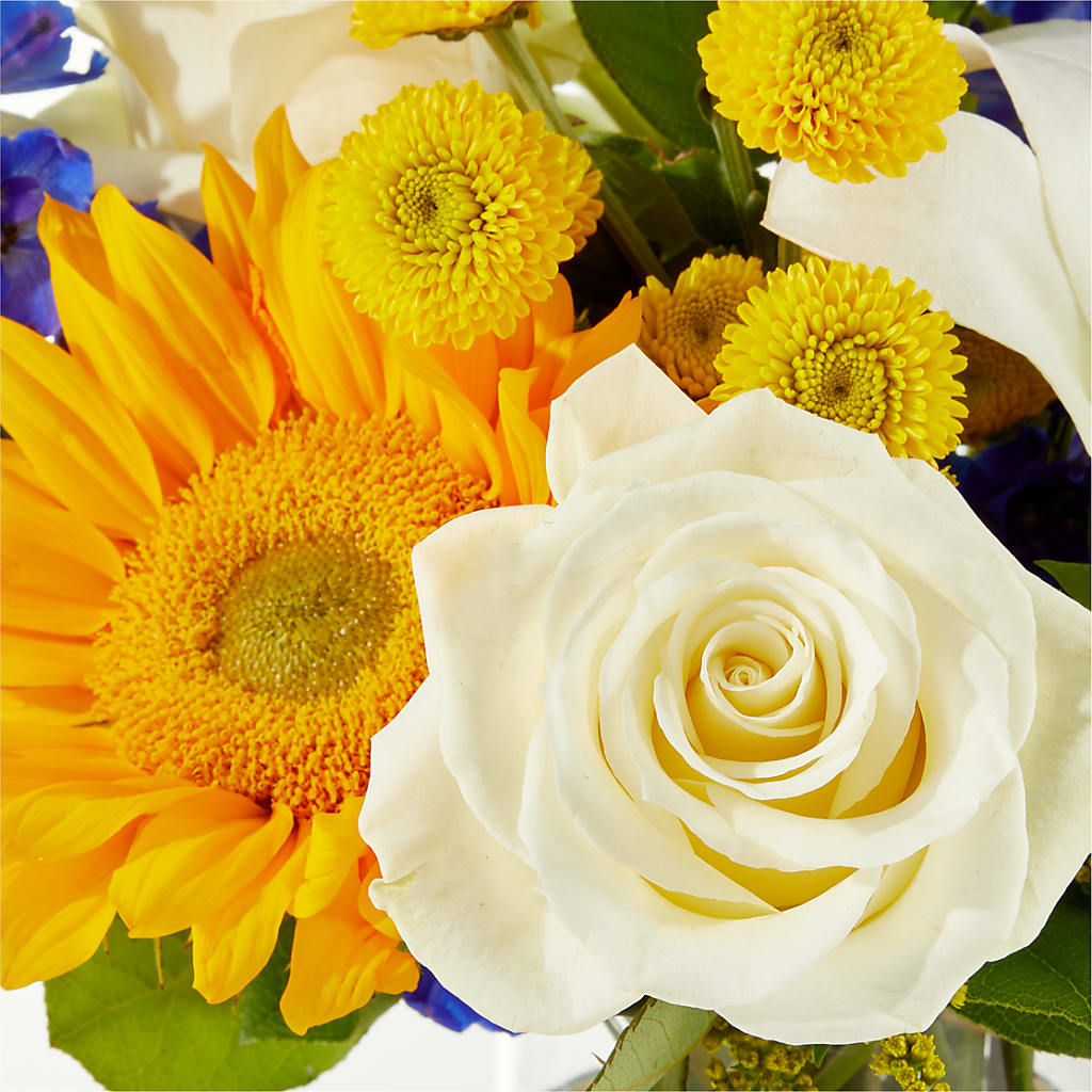 Stargazing Bouquet –  Coatesville Flower Shop, Coatesville PA