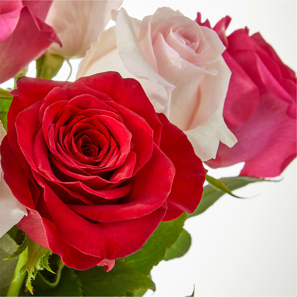 Charming Rose Bouquet –  Coatesville Flower Shop, Coatesville PA