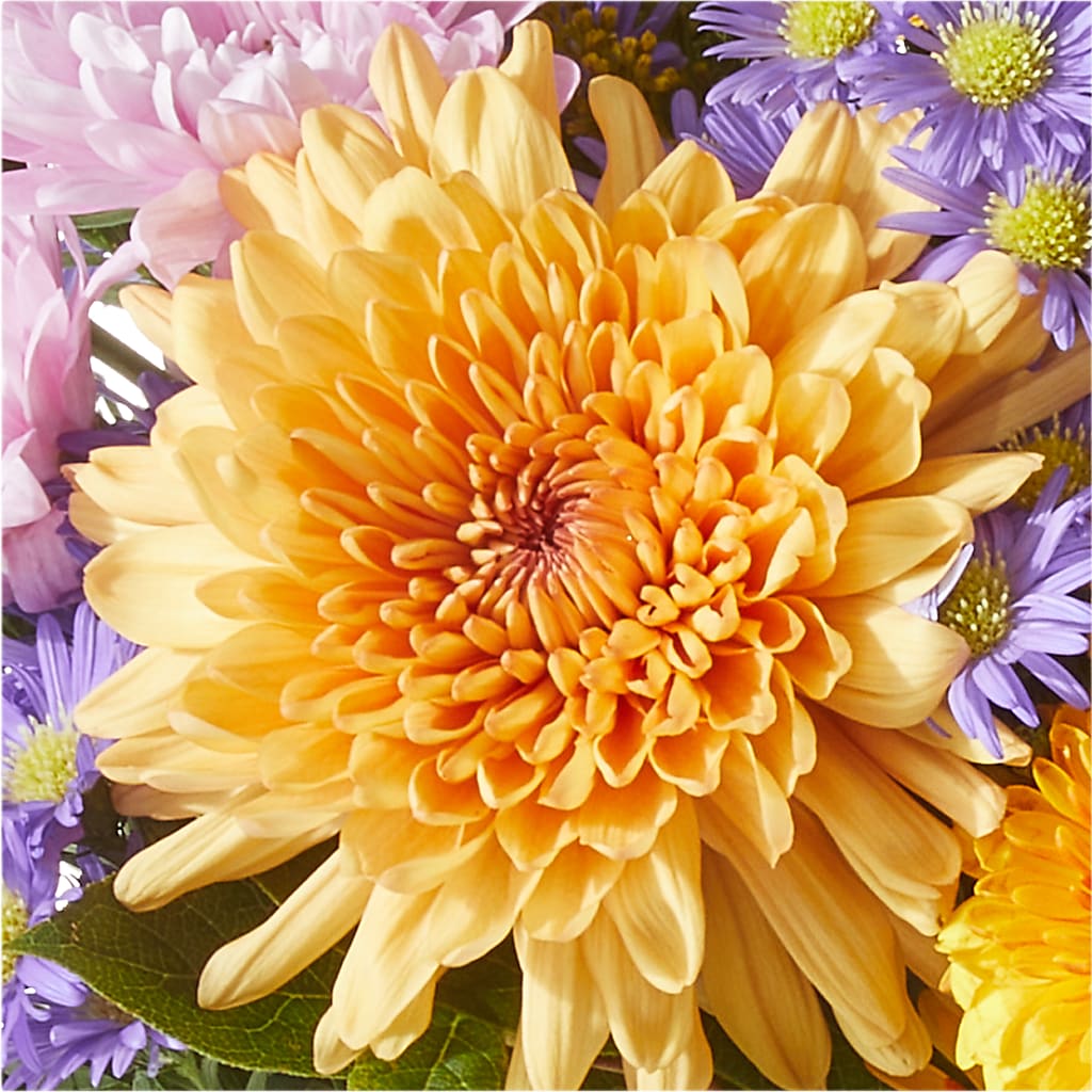 Countryside Bouquet –  Coatesville Flower Shop, Coatesville PA