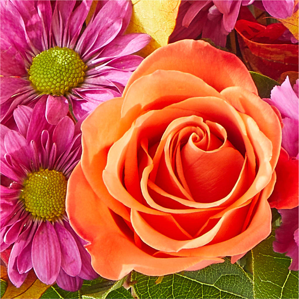 Mum's the Word Bouquet –  Coatesville Flower Shop, Coatesville PA