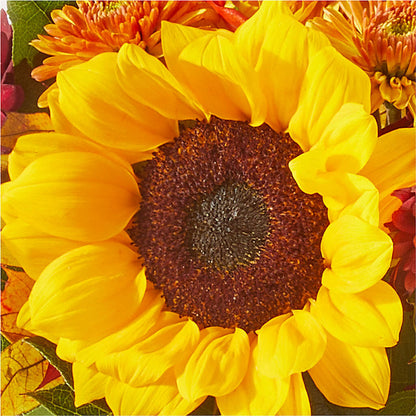 Sunny Side Bouquet –  Coatesville Flower Shop, Coatesville PA
