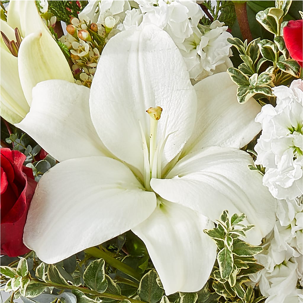 Twinkle Lights Bouquet –  Coatesville Flower Shop, Coatesville PA